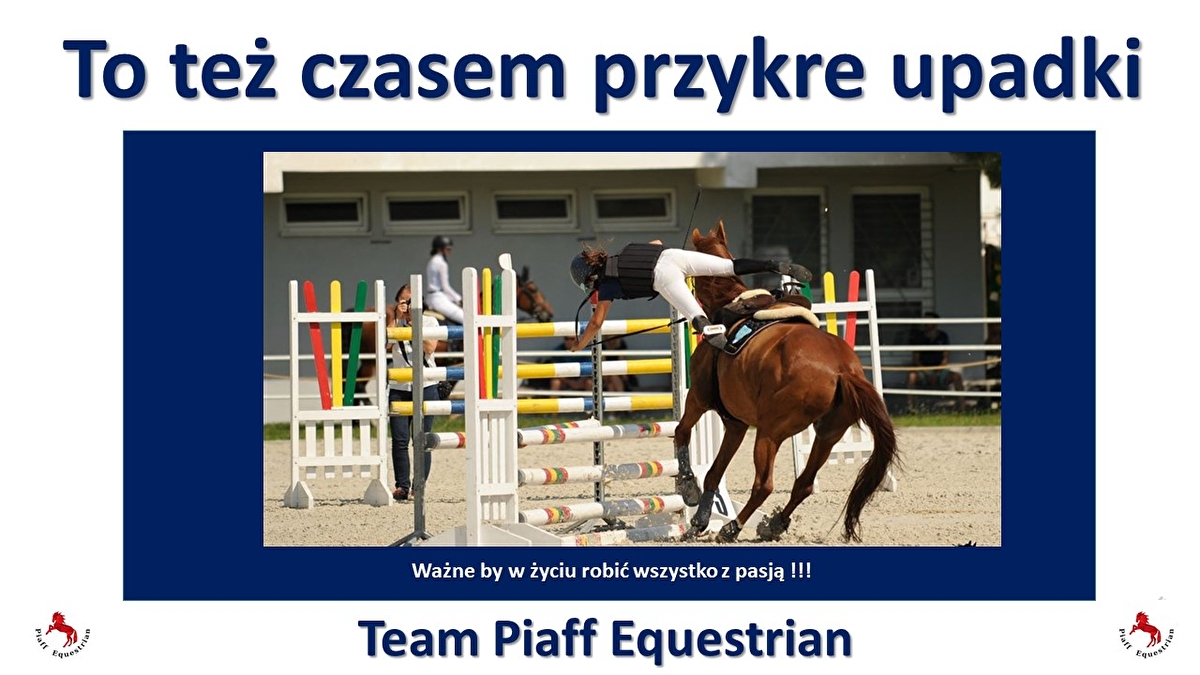 Piaff Equestrian - zdjęcie 7