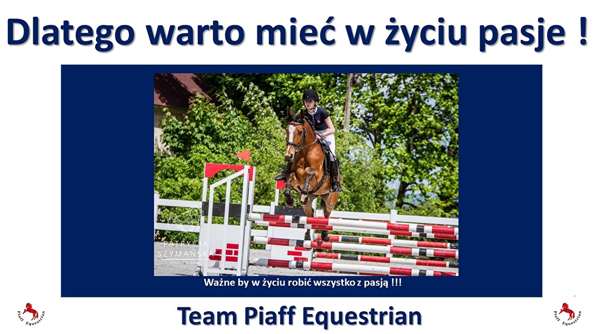 Piaff Equestrian - zdjęcie 23