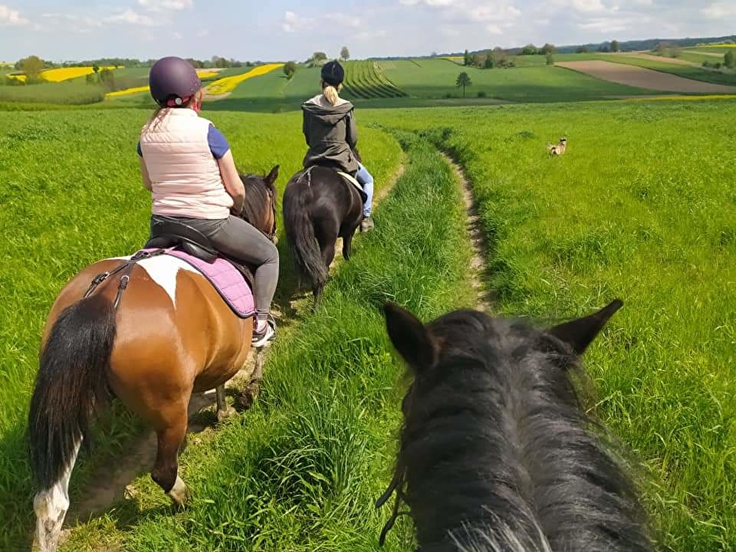 Stadnina koni "Z Przedniej Łąki" - zdjęcie 5