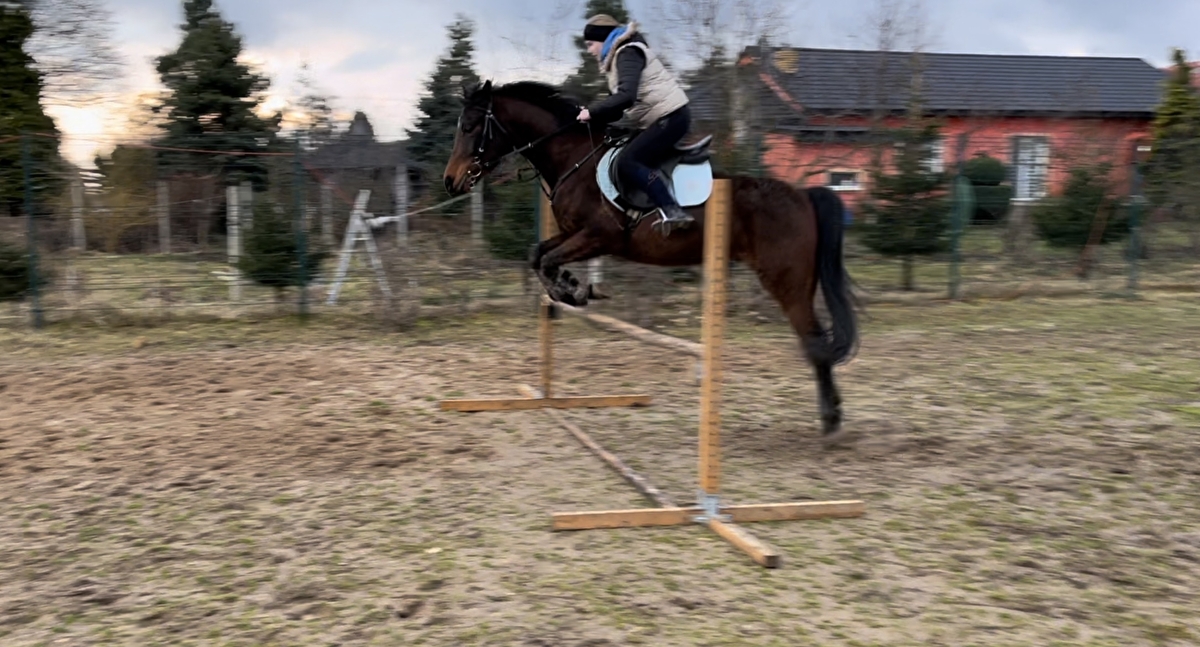 DO.Arabians - zdjęcie 3