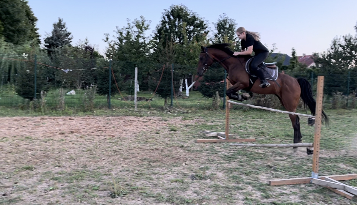 DO.Arabians - zdjęcie 12