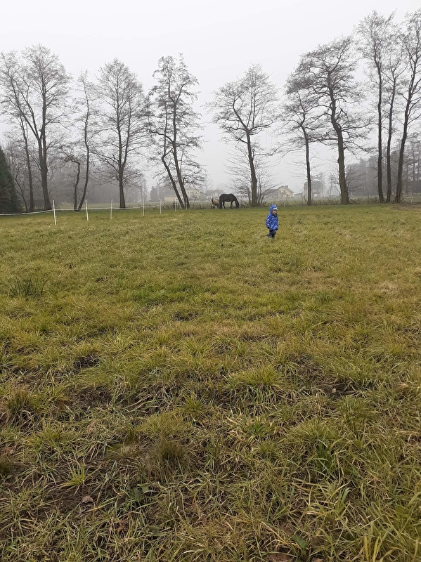 Stajnia Przydomowa Chybie - zdjęcie 3