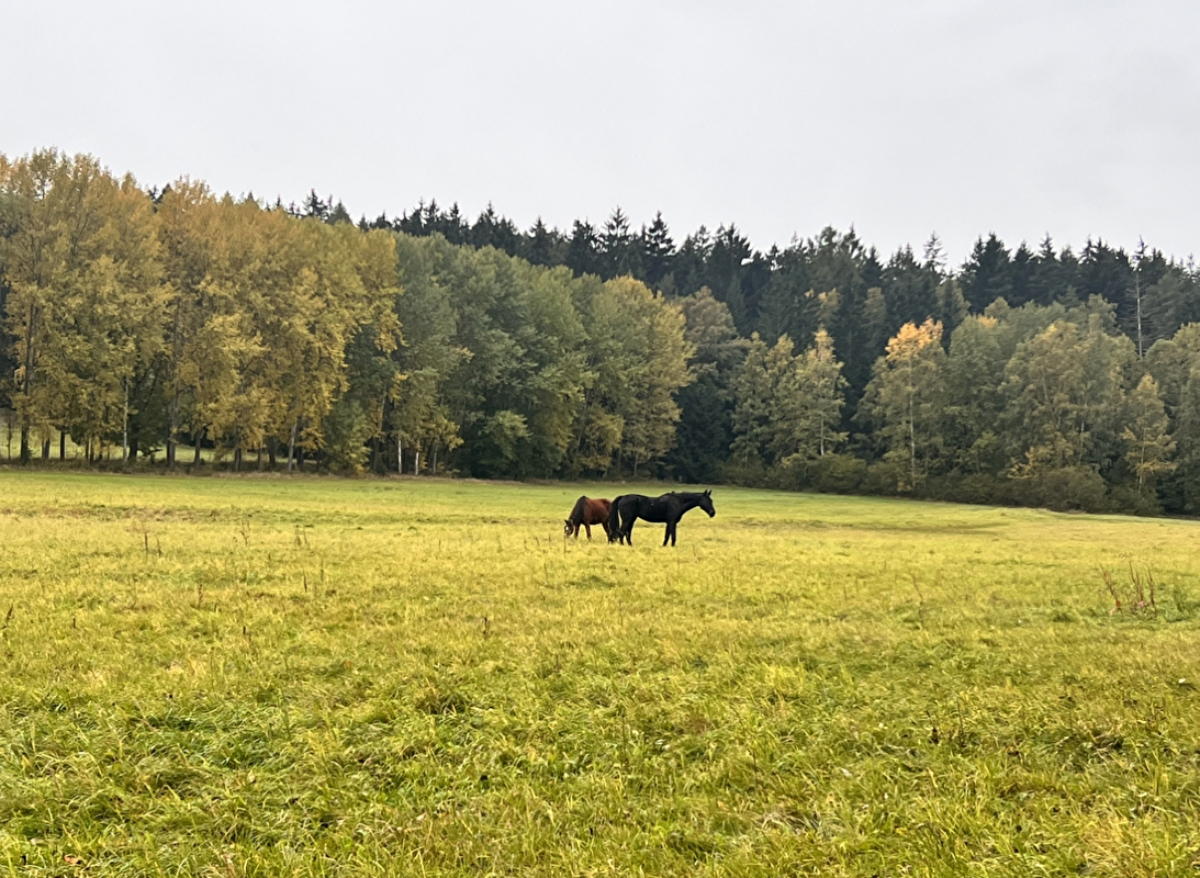 OJ Luna Ranch - zdjęcie 3