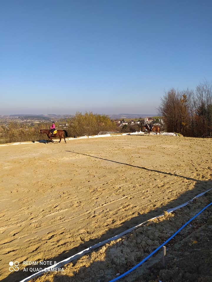 Stajnia Indiana - zdjęcie 3