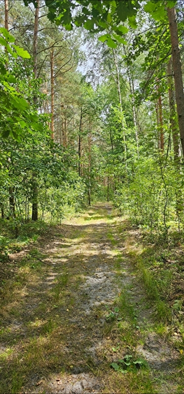 Klub Jeździecki Huzar - zdjęcie 6