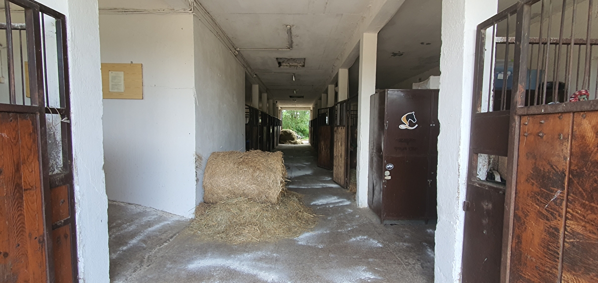 Klub Jeździecki Huzar - zdjęcie 37