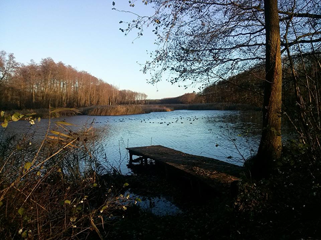 Stajnia Janowo Młyn - zdjęcie 1