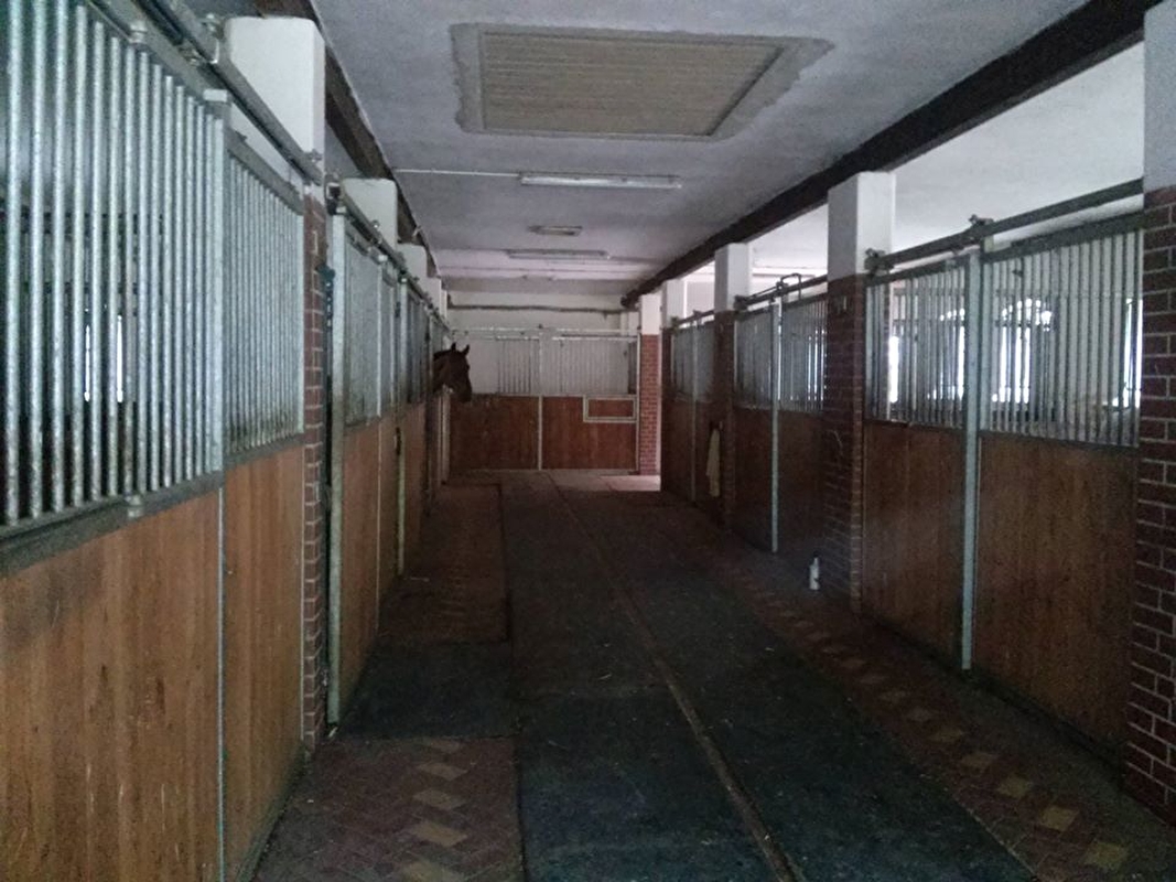 Stajnia Janowo Młyn - zdjęcie 4
