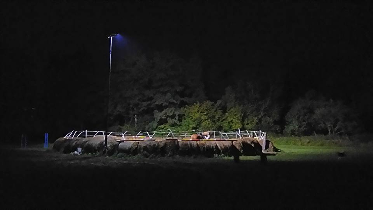 Stajnia Janowo Młyn - zdjęcie 9