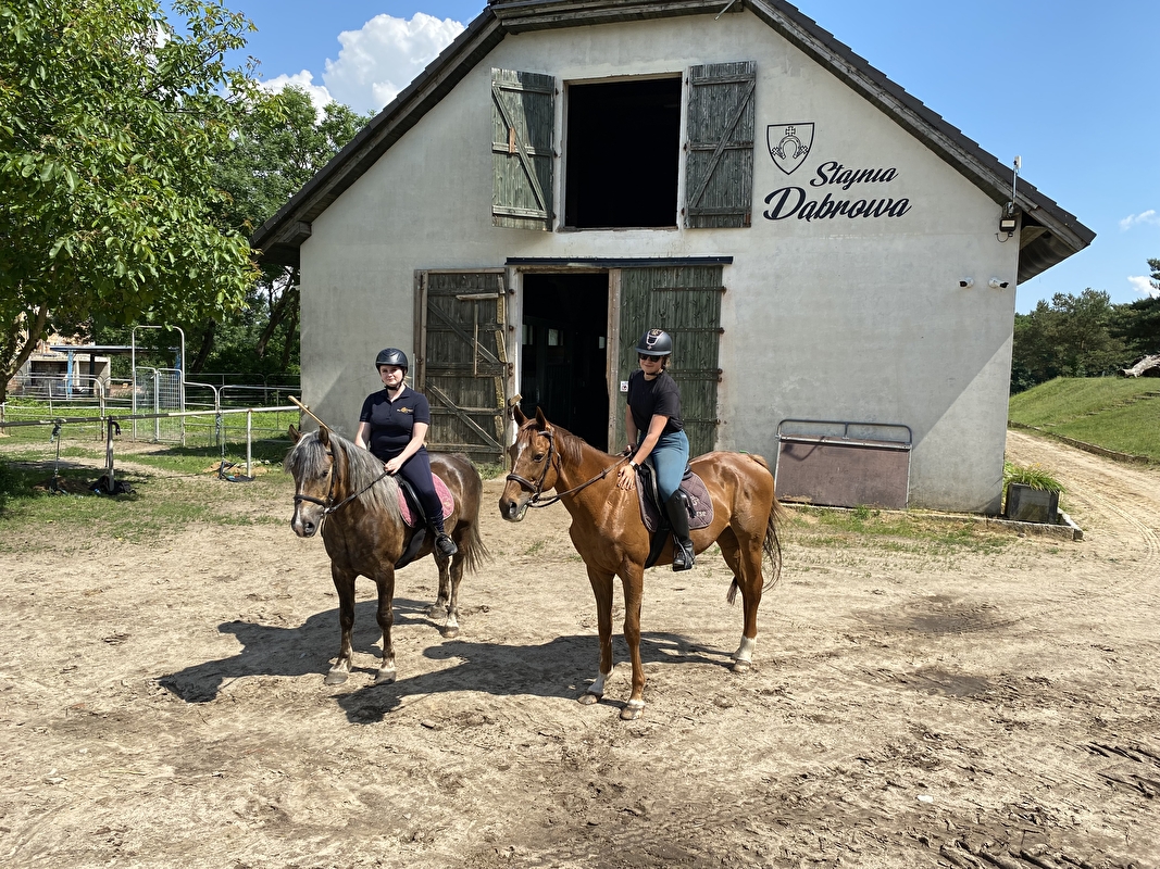 Equi-Support Stajnia Dąbrowa - zdjęcie 2