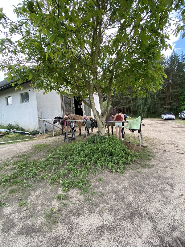 Equi-Support Stajnia Dąbrowa - zdjęcie 5