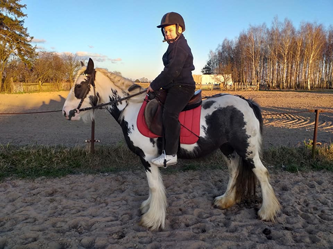 Stajnia Zalesie Królewskie - zdjęcie 5