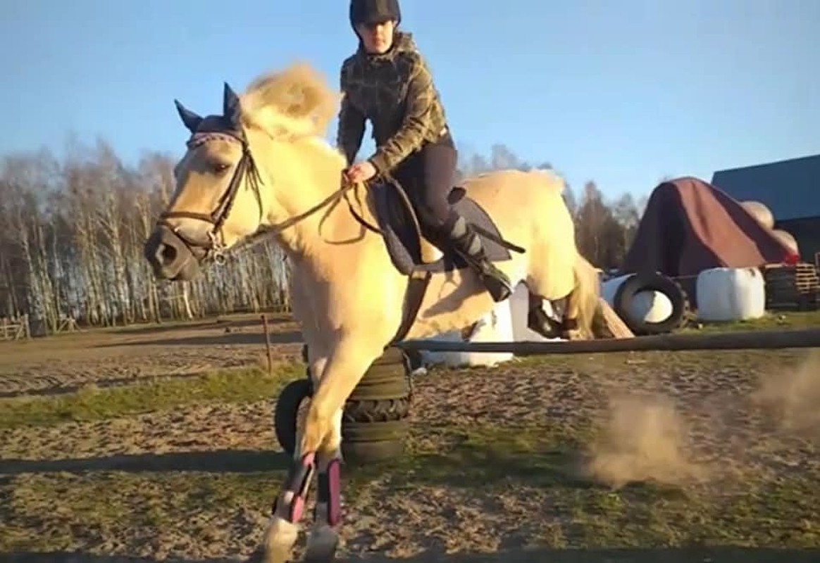 Stajnia Zalesie Królewskie - zdjęcie 8
