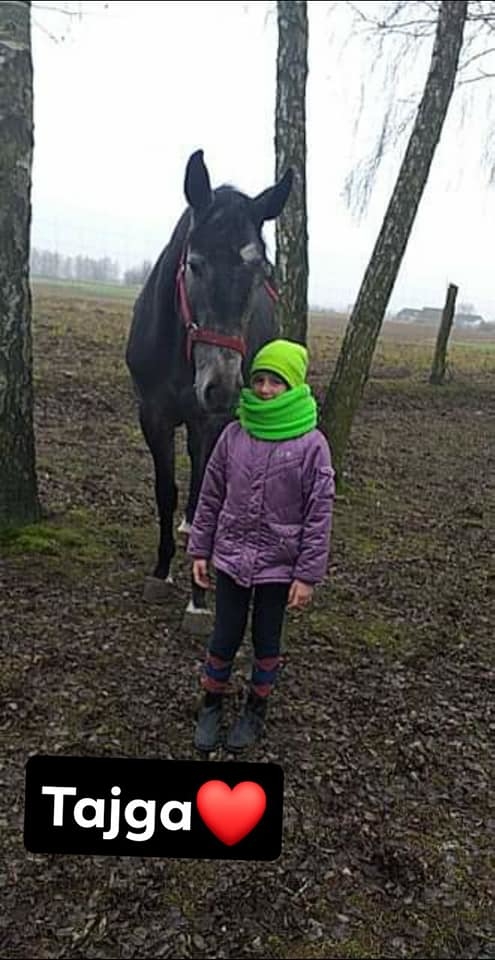 Stajnia Zalesie Królewskie - zdjęcie 12