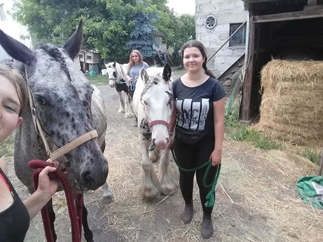 Stajnia Zalesie Królewskie - zdjęcie 15