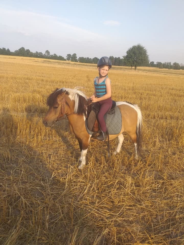 Stajnia Zalesie Królewskie - zdjęcie 18