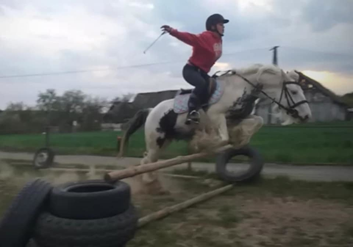 Stajnia Zalesie Królewskie - zdjęcie 19