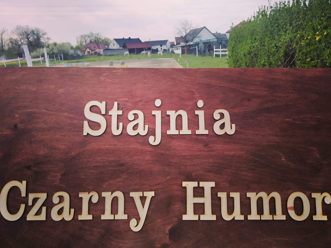 Stajnia Czarny Humor - zdjęcie 1