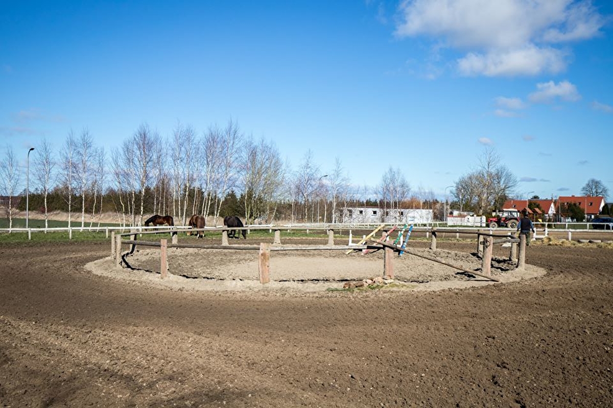 Stajnia Sielskie Wzgórze - zdjęcie 8