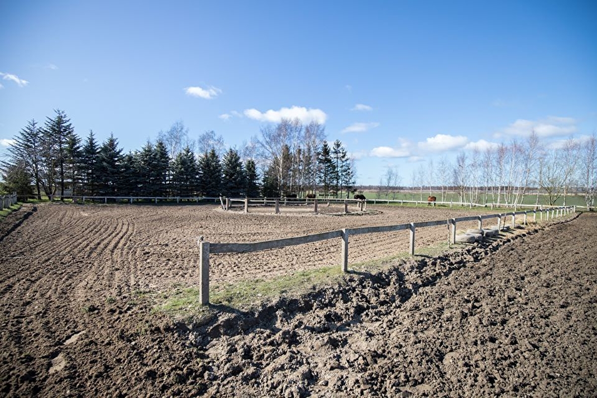 Stajnia Sielskie Wzgórze - zdjęcie 13