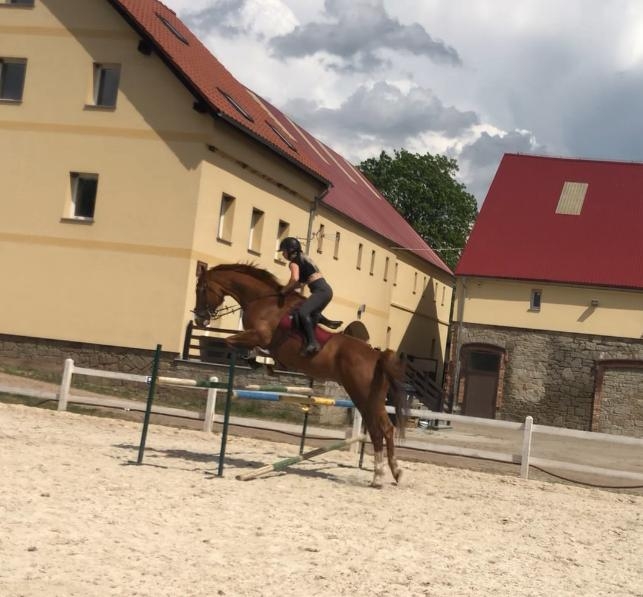 Ośrodek Jeździecki Dyplomata - zdjęcie 9