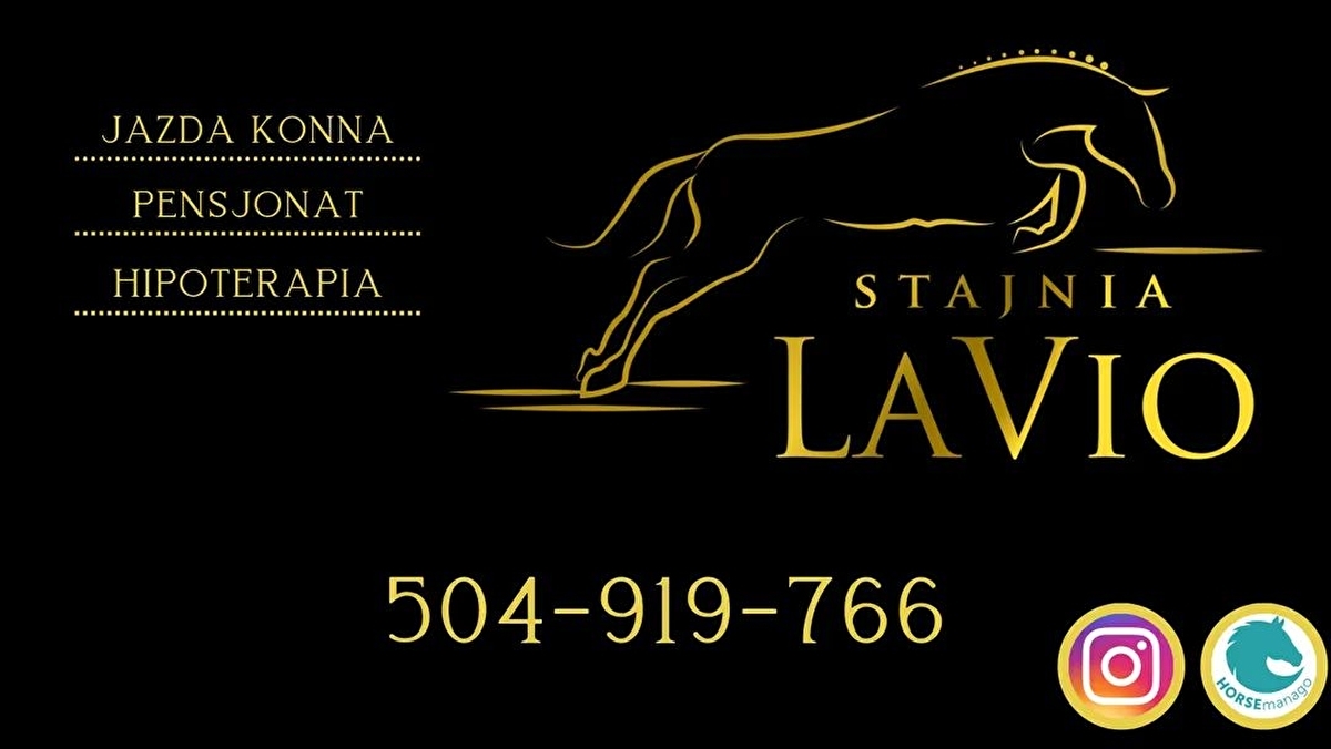 Stajnia Lavio - zdjęcie 1