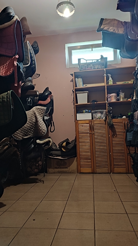 Stajnia Lavio - zdjęcie 11