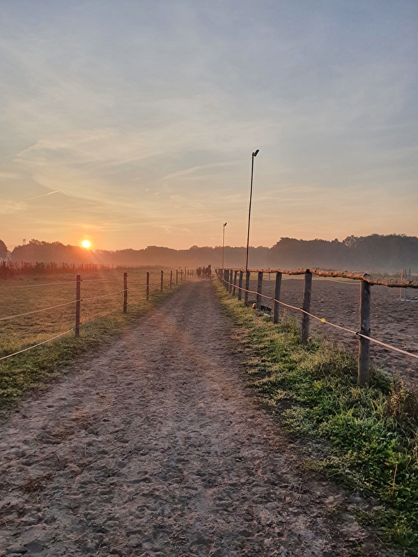 Stajnia Polesiówka - zdjęcie 6
