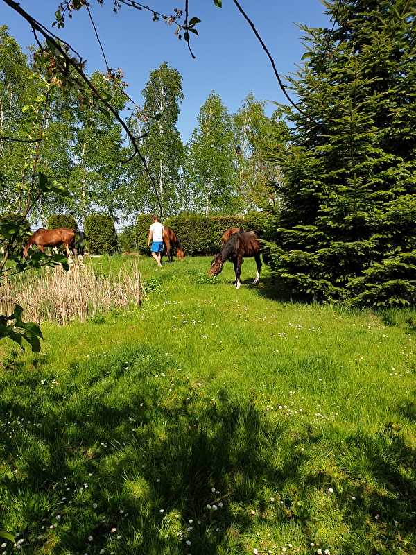 Stajnia Polesiówka - zdjęcie 15