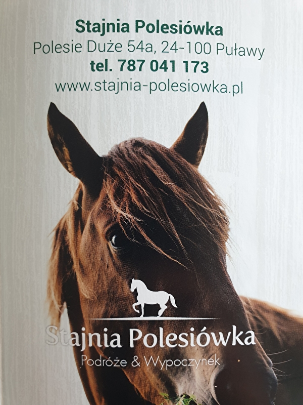 Stajnia Polesiówka - zdjęcie 21