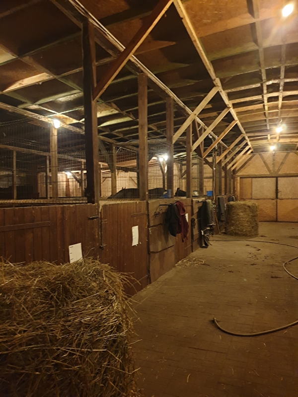 Stajnia Polesiówka - zdjęcie 24