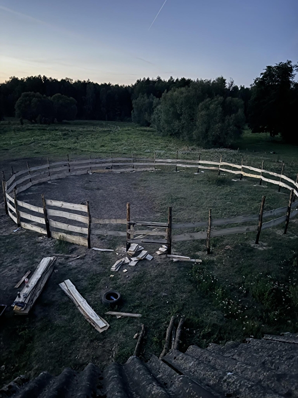 KJ Drakwa - zdjęcie 4