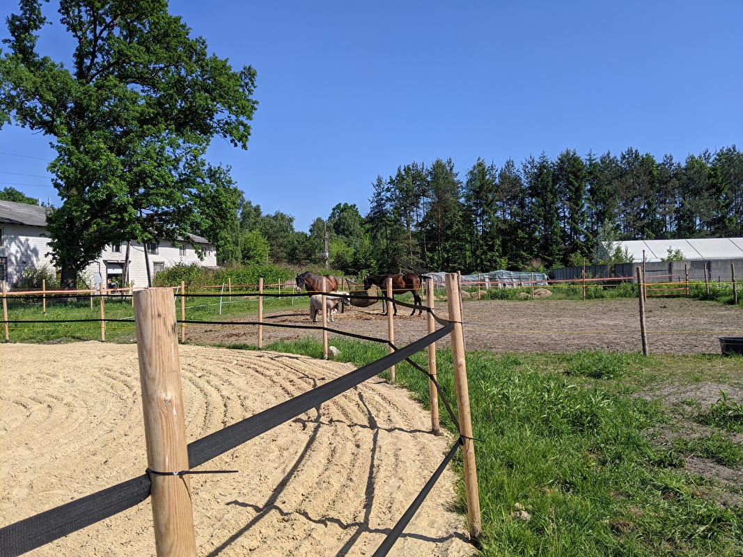 Stajnia Fenix - zdjęcie 7