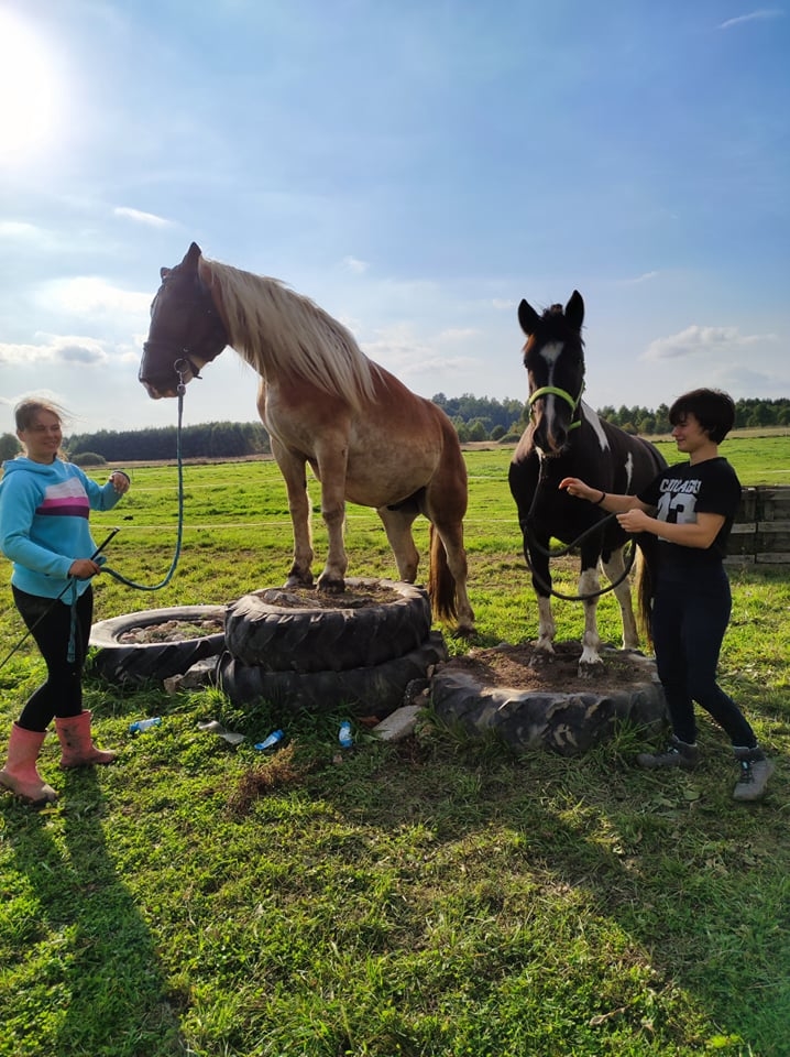 Stajnia Happy Hoof - zdjęcie 3