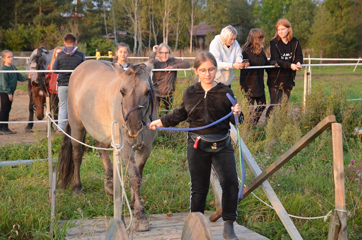 Stajnia Happy Hoof - zdjęcie 8