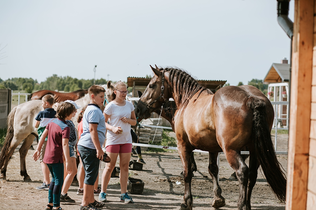 Stajnia Happy Hoof - zdjęcie 17