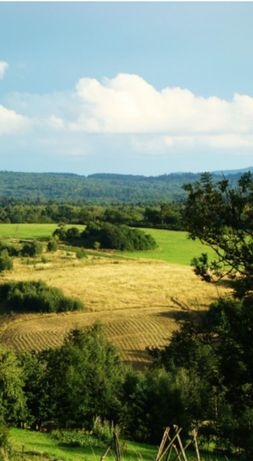 Modryna Ranczo - zdjęcie 2