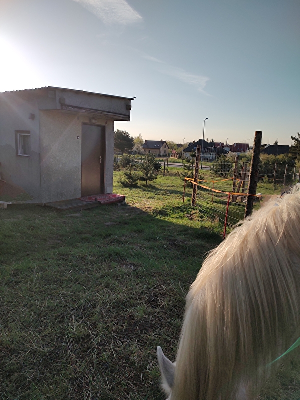 Stajnia Reda - zdjęcie 4