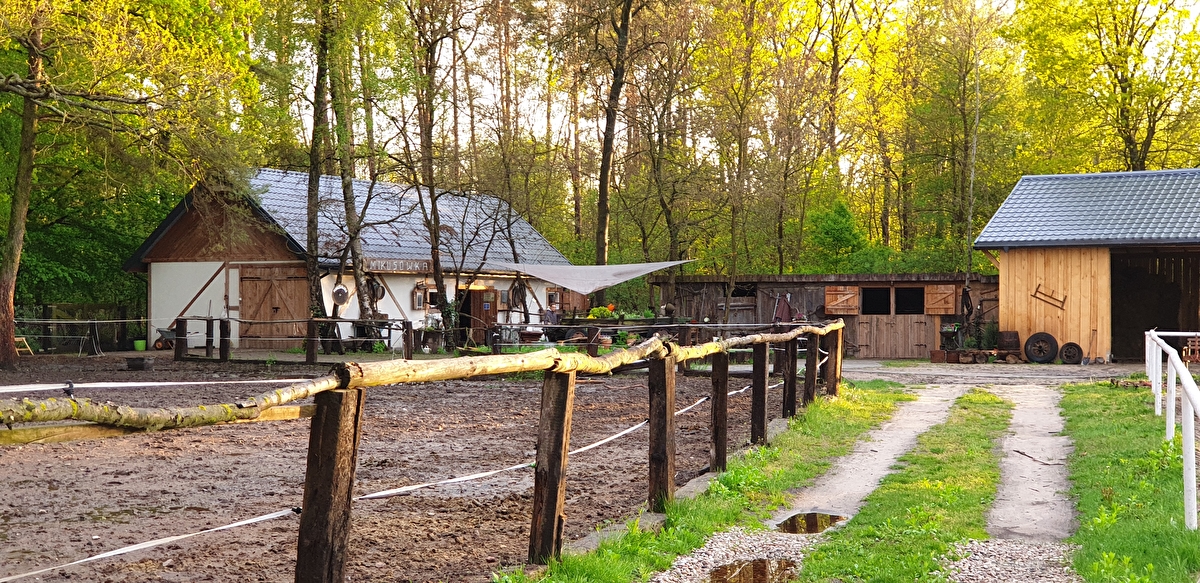 Stajnia Mikusówka (pod Warszawą/ okolice Piaseczno) - zdjęcie 1
