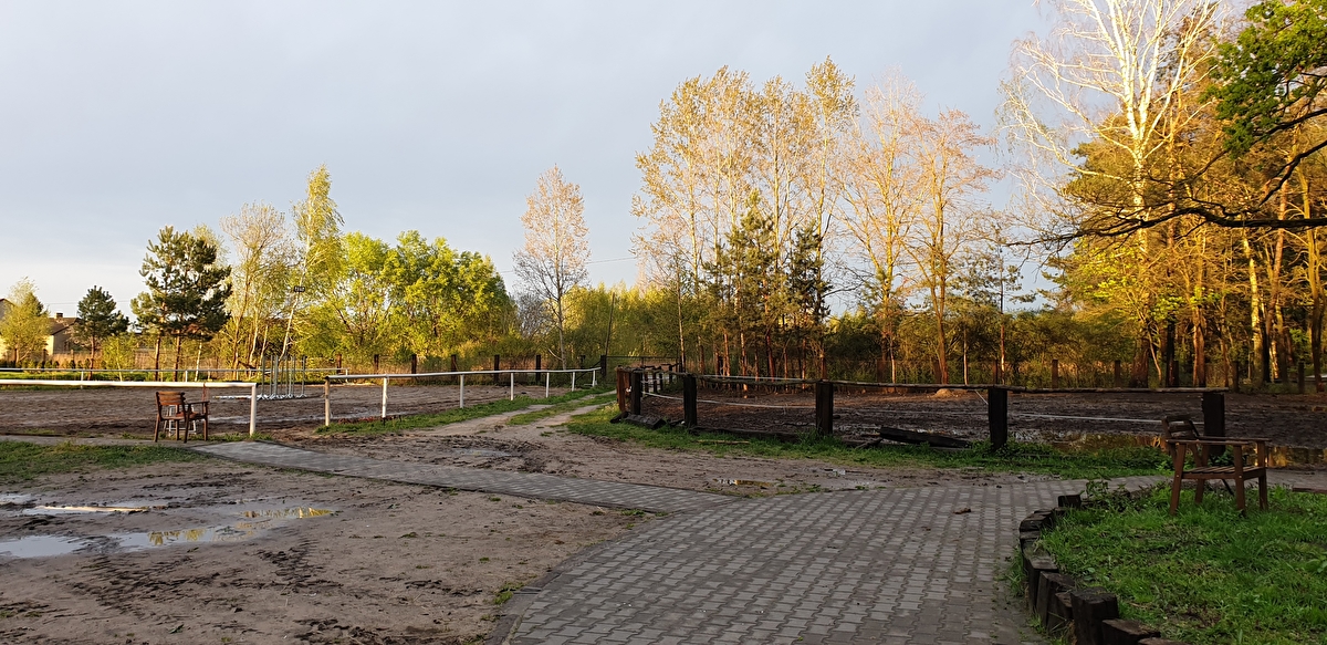 Stajnia Mikusówka (pod Warszawą/ okolice Piaseczno) - zdjęcie 4