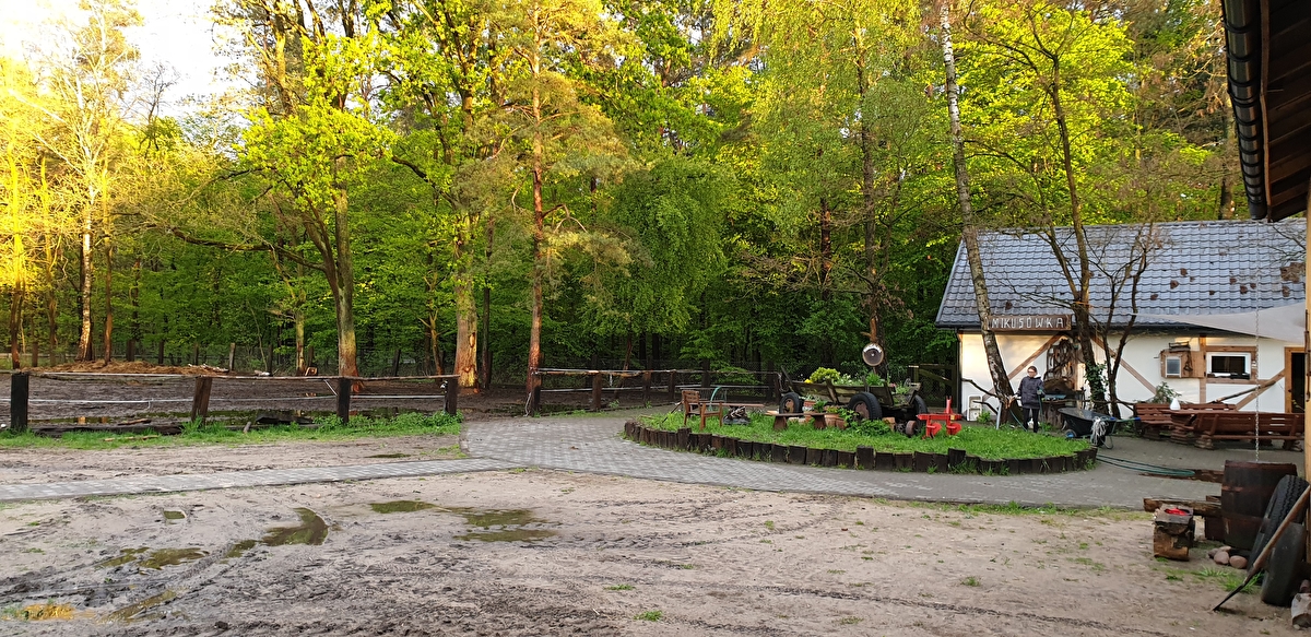 Stajnia Mikusówka (pod Warszawą/ okolice Piaseczno) - zdjęcie 8