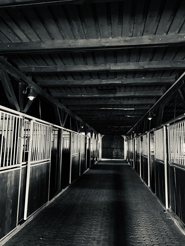 GB Noble Stable Sarbiewo - zdjęcie 6