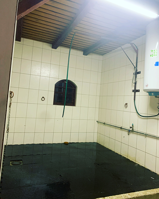 GB Noble Stable Sarbiewo - zdjęcie 9