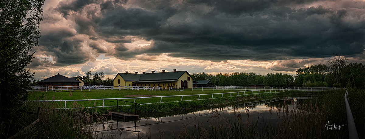 GB Noble Stable Sarbiewo - zdjęcie 13
