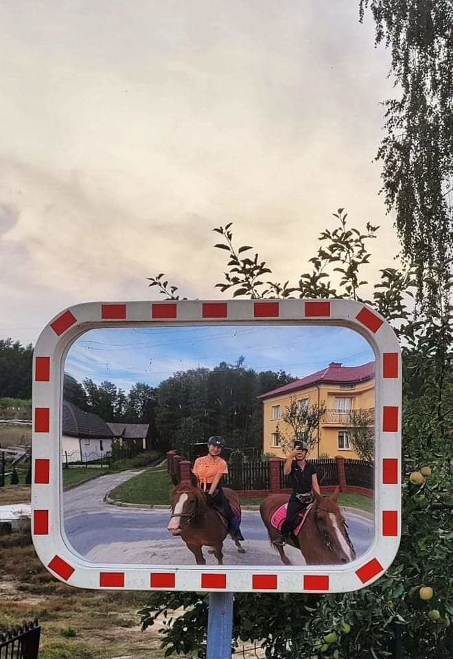 Stajnia Borki - zdjęcie 5
