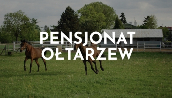Pensjonat niedaleko Warszawy - zdjęcie 1