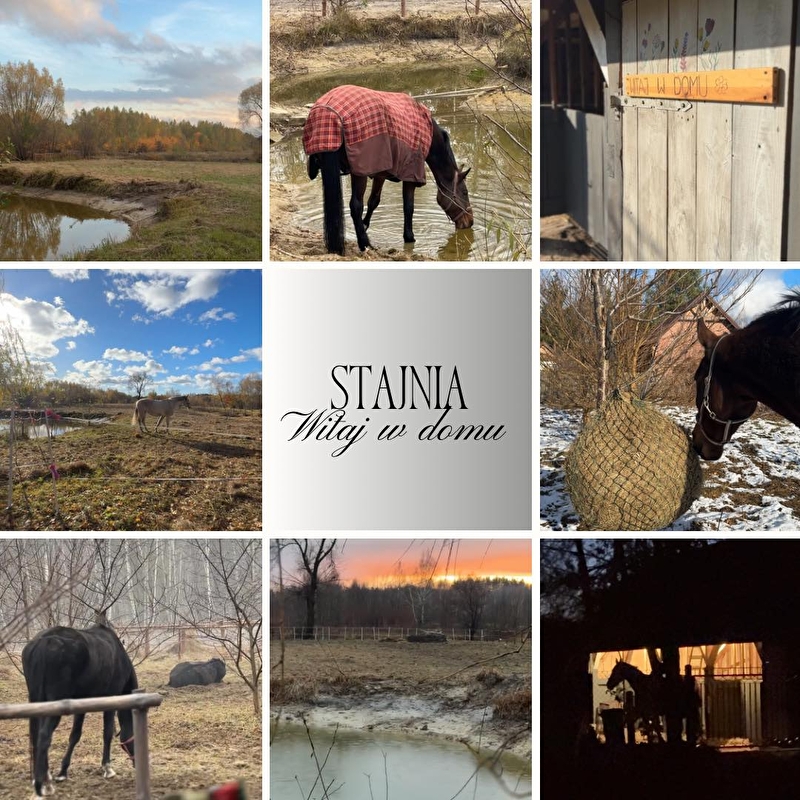Stajnia Witaj w Domu - zdjęcie 1