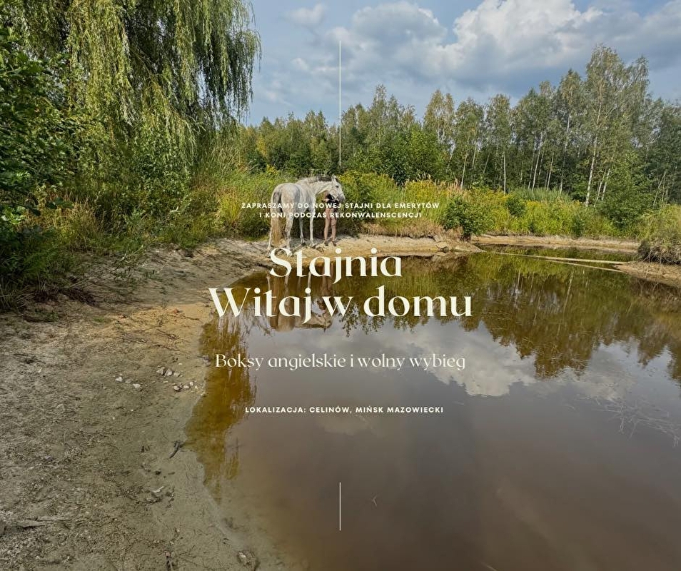 Stajnia Witaj w Domu - zdjęcie 3