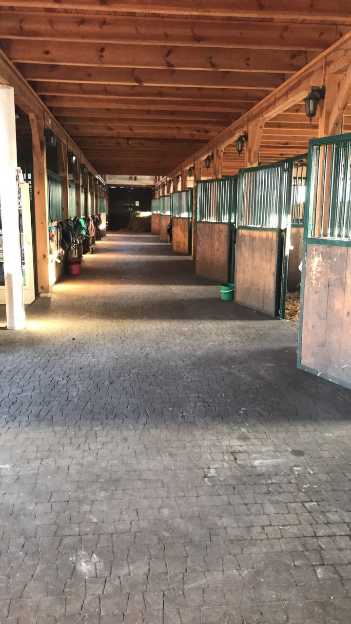 Stajnia Casa Cavallo - zdjęcie 1