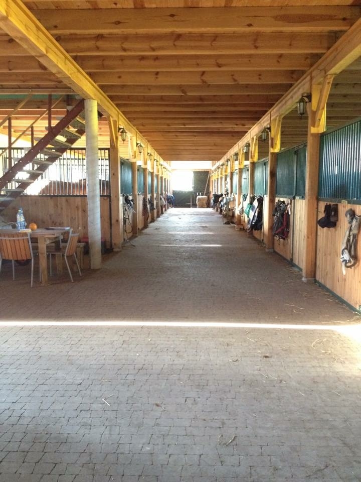 Stajnia Casa Cavallo - zdjęcie 4